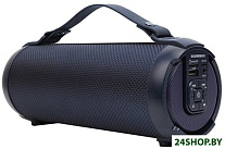 Картинка Беспроводная колонка Soundmax SM-PS5020B (темно-синий)