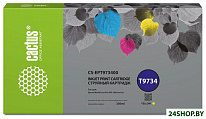 CS-EPT973400 (аналог Epson T9734)