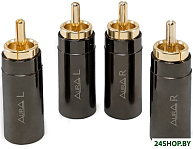 RCA-P618