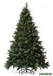 Картинка Ель Royal Christmas Phoenix 1,2 м