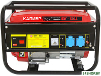 БЭГ-3011