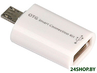 Картинка Адаптер SmartBuy SBR-OTG-W