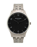 Картинка Наручные часы Pierre Cardin PC902711F207