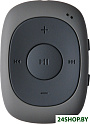 MP3 плеер Digma C2LG (серый) [367272]