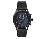 Картинка Наручные часы Skagen Holst SKW6651