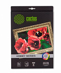 Картинка Холст Cactus CS-СA426010