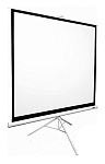Картинка Проекционный экран Elite Screens Tripod 160x163 [T85NWS1]