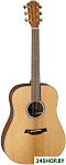 TLA/D Alder