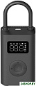 Автомобильный компрессор Xiaomi Mi Portable Electric Air Compressor 2 BHR7112GL (международная верси