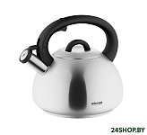 Картинка Чайник со свистком Nadoba Virga 731001