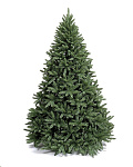 Картинка Ель Royal Christmas Washington Premium (1,2 м)