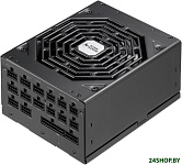 Leadex Platinum Special Edition 1000W SF-1000F14MP