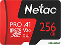 Карта памяти Netac P500 Extreme Pro 256GB NT02P500PRO-256G-S