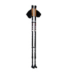 Картинка Палки для скандинавской ходьбы GESS GESS-919 BASIC WALKER (двухсекционные)