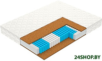 Focus (5-Zone) 90x186