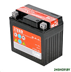 Картинка Мотоциклетный аккумулятор FIAMM FTX5L-BS (5 А·ч)