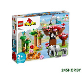 Картинка Конструктор Lego Duplo Дикие животные Азии 10974