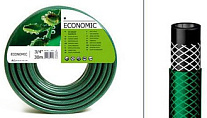 shlang_economic_c
