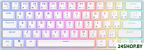 RK61 RGB (белый, RK Red)
