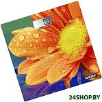Картинка Напольные весы CENTEK CT-2420 (Гербера)