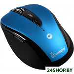 Мышь SmartBuy 612AG Blue/Black (SBM-612AG-BK)