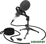 Картинка Микрофон Ritmix RDM-160 Black
