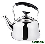 Картинка Чайник со свистком Agness 909-603