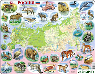 Россия K50-RU