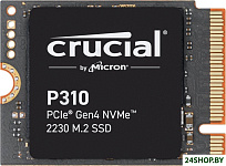 P310 1TB CT1000P310SSD2