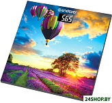 Картинка Весы напольные Endever AURORA-551 (Воздушный Шар)