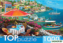 C1000-09-06 (1000 эл)