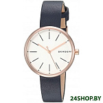 Картинка Наручные часы Skagen SKW2592
