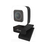 Картинка Веб-камера Ritmix RVC-220