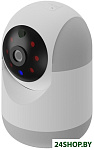 Картинка IP-камера Ritmix IPC-220-Tuya