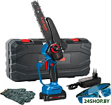 AP4209PRO-1 (с АКБ, кейс)