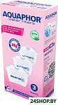 Картинка Модуль сменный АКВАФОР MAXFOR+ Mg
