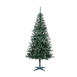 Картинка Ель Royal Christmas Kansas 1.5 м