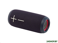 Картинка Портативная акустика Hyundai H-PAC610 (черный)