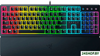 Ornata V3 (нет кириллицы)
