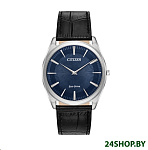 Картинка Наручные часы Citizen AR3070-04L