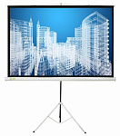 Картинка Проекционный экран Cactus Triscreen CS-PST-104x186см