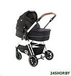 Картинка Детская универсальная коляска Lorelli (Bertoni) Angel 3 в 1 Black (10021562010)