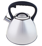 Картинка Чайник со свистком Appetite LKD-4030