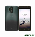 Картинка Смартфон BQ-Mobile BQ-5031G Fun 2GB/16GB (серый)