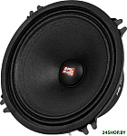 MS-5PRO SPL Show