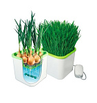 Картинка Проращиватель Здоровья клад АэроСАД