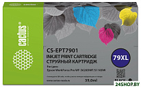 CS-EPT7901 (аналог Epson 79XL)