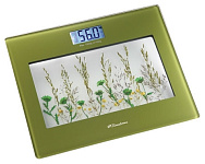 Картинка Весы напольные Binatone BS-8050G