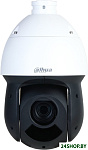 DH-SD49216DB-HNY