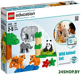 Education 45012 Дикие животные